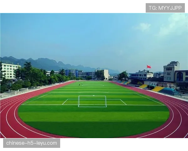 尽管多座球场临时改铺天然草，但其平整度和稳定性仍是法国队需要适应的未知数。